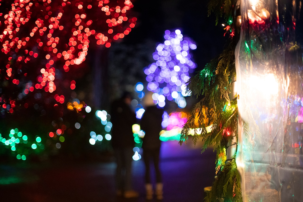 The Grotto at Christmastime