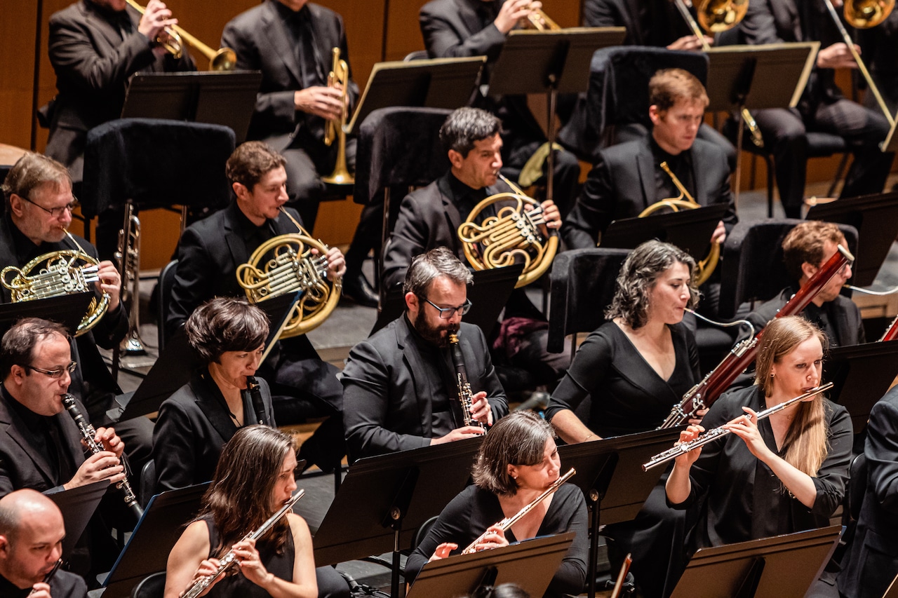 Members of a symphony, wearing all-black clothing, perform in a concert hall.