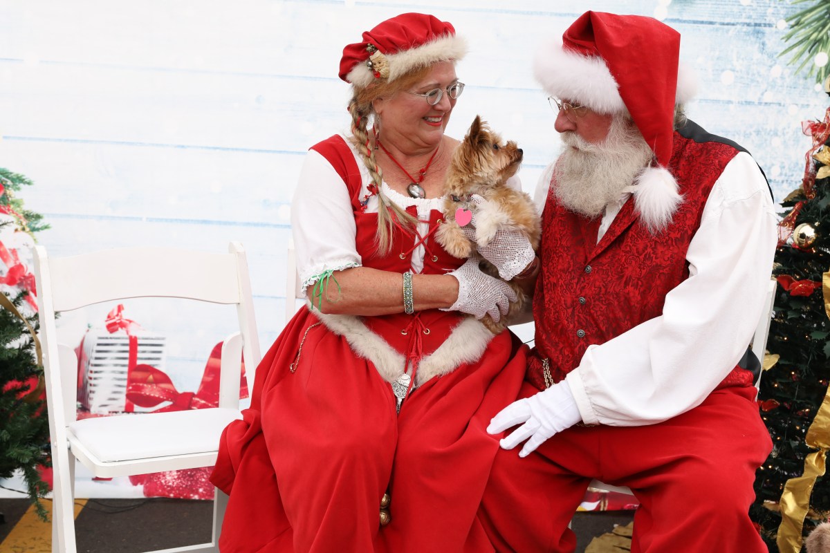 Santa’s coming to Birmingham—get your photos + give back 2 STEP1382 Santa’s coming to Birmingham—get your photos + give back