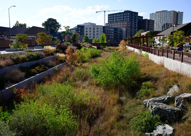The 39th Avenue Greenway in Denver on Wednesday, Oct. 15, 2025. (Photo by Andy Cross/The Denver Post)