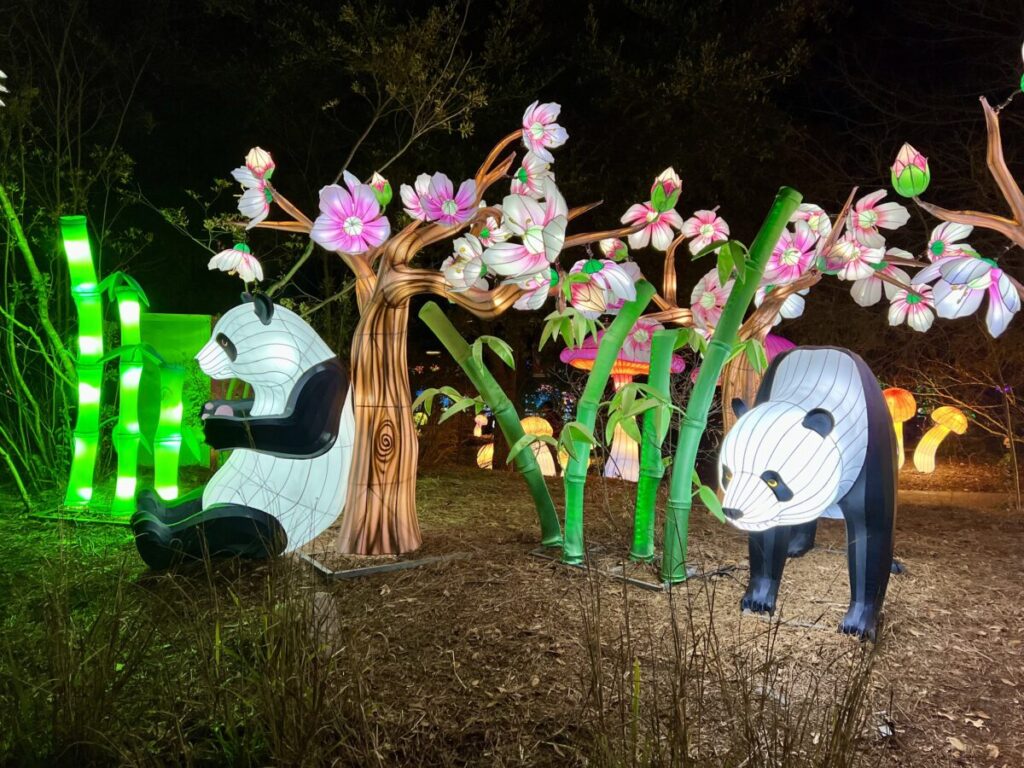 16 weekend events, including kick off to Glow Wild + Market Noel @ The Finley Center—Nov. 21-23