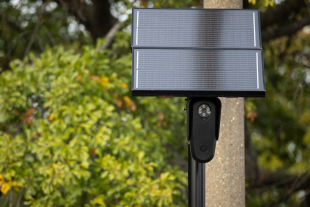 Flock Safety Camera along St. Pauls Boulevard in Norfolk on Nov. 19, 2024. (Billy Schuerman / The Virginian-Pilot)