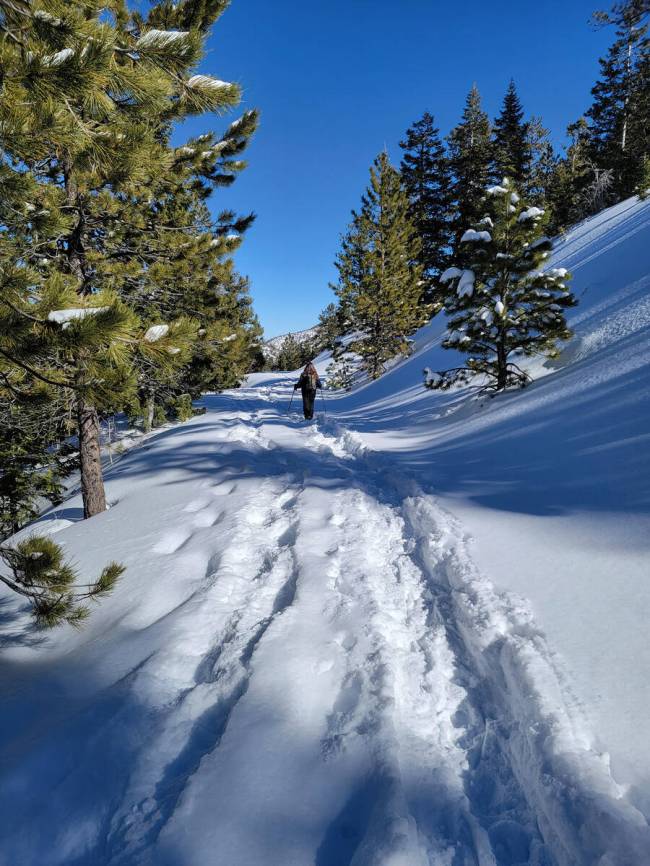 A snowshoer treks through powder at Lee Canyon. (Natalie Burt)
