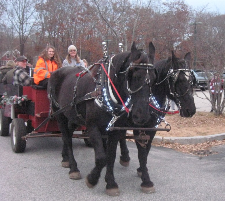 Carriage rides, Santa and a parade precede tree lighting
