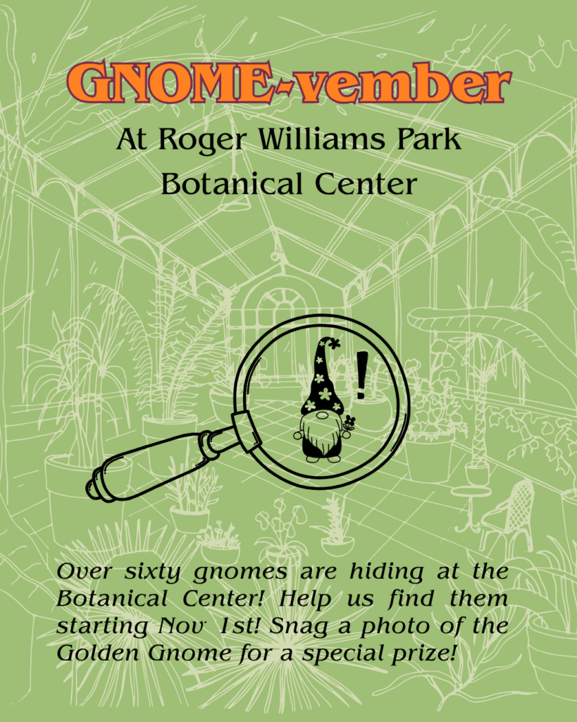 Gnome-vember