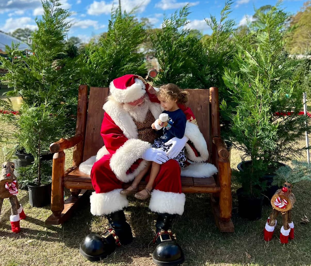 Where to Cut Your Own Christmas Tree in Central Arkansas