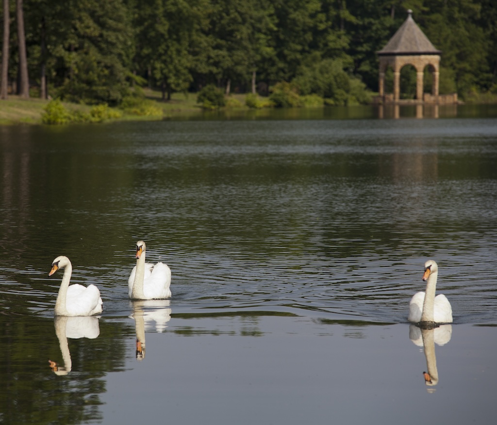 Wildwood Park for the Arts to Host Toast & Taste Event