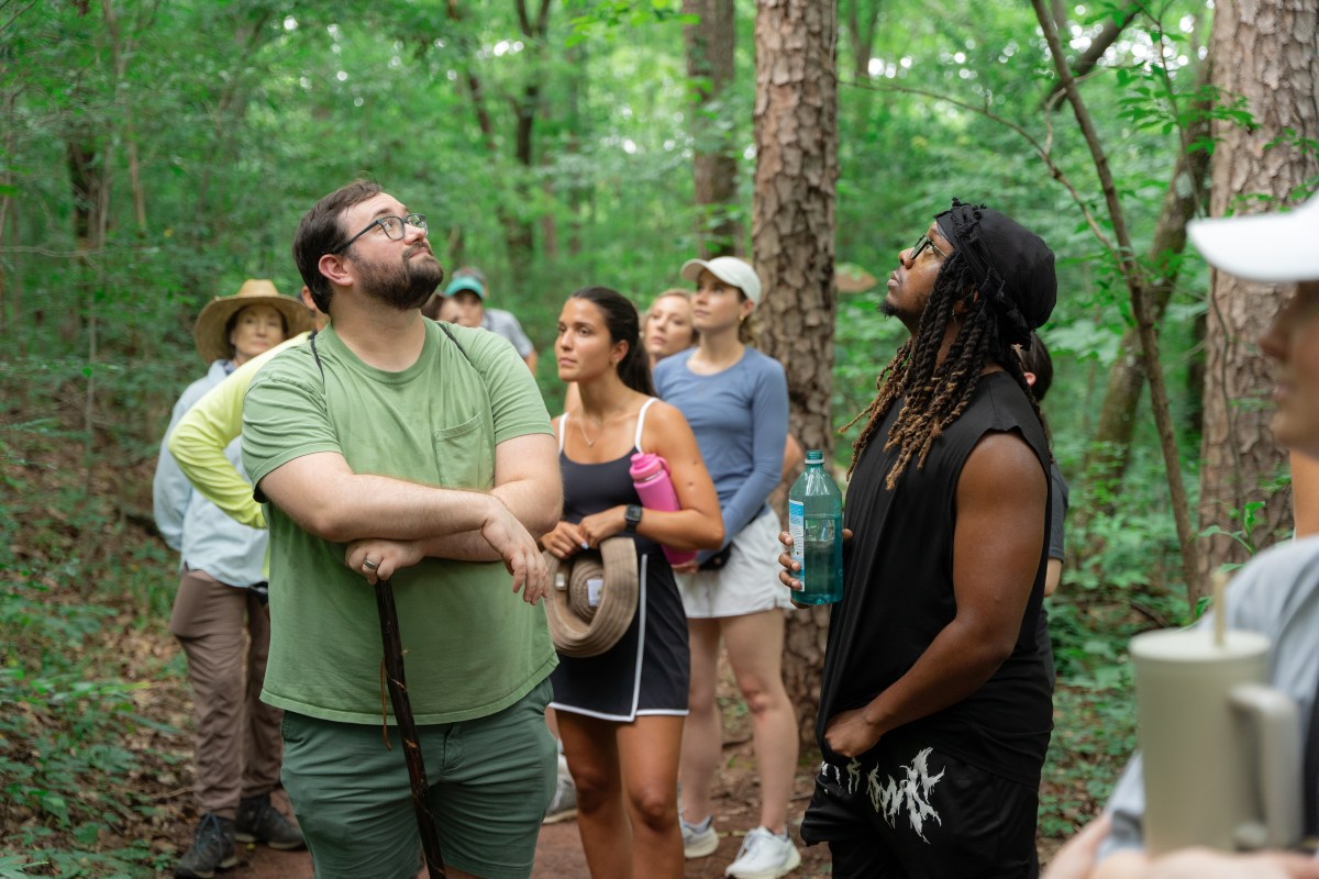 40 things to do in Birmingham this December—parades, concerts + more 9 Bham Now outing at Ruffner Mountain