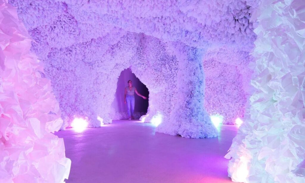 Explore Portland’s Immersive Art Experiences