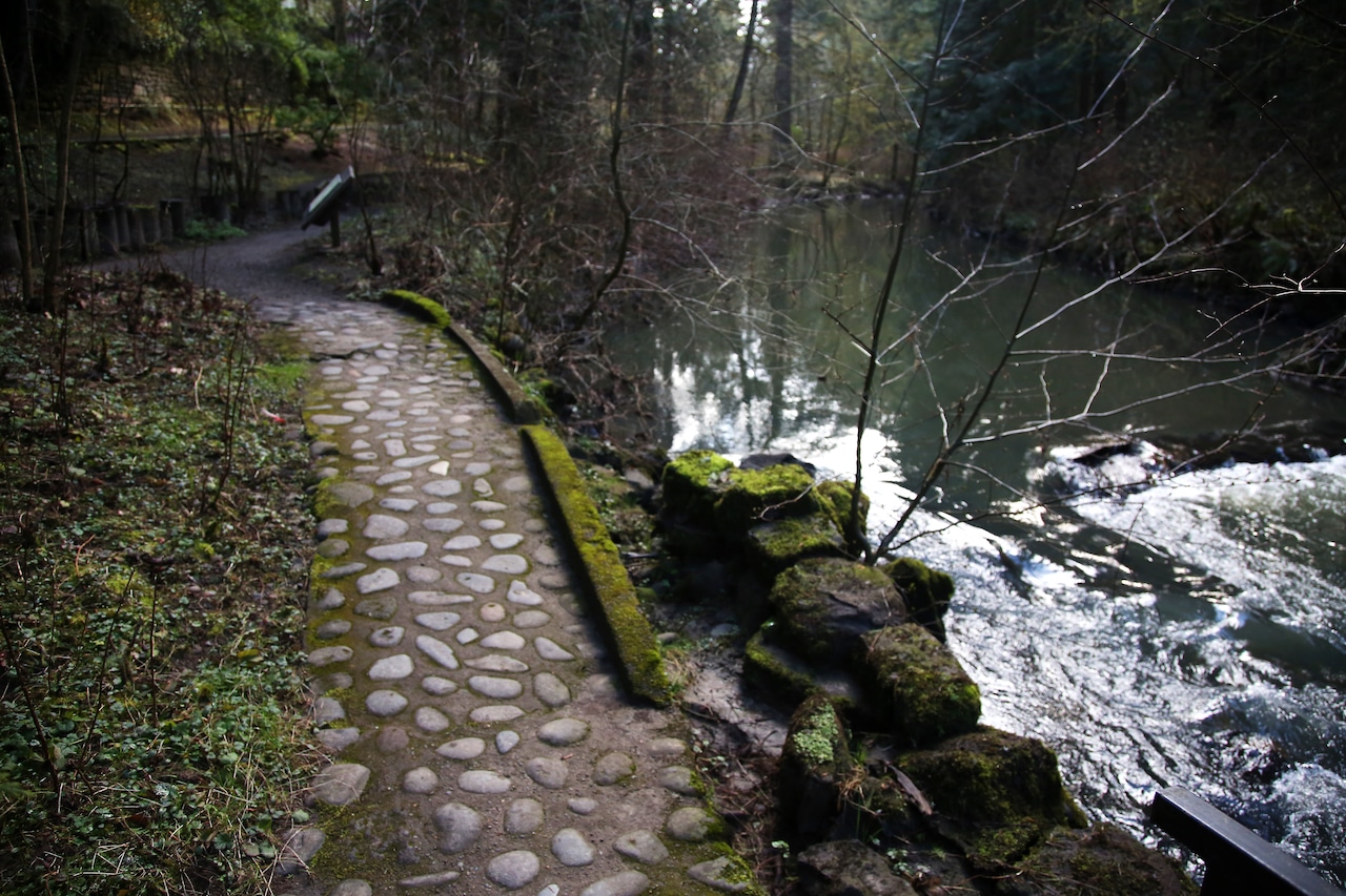 A stone path travels along a creek in a wintertime garden
