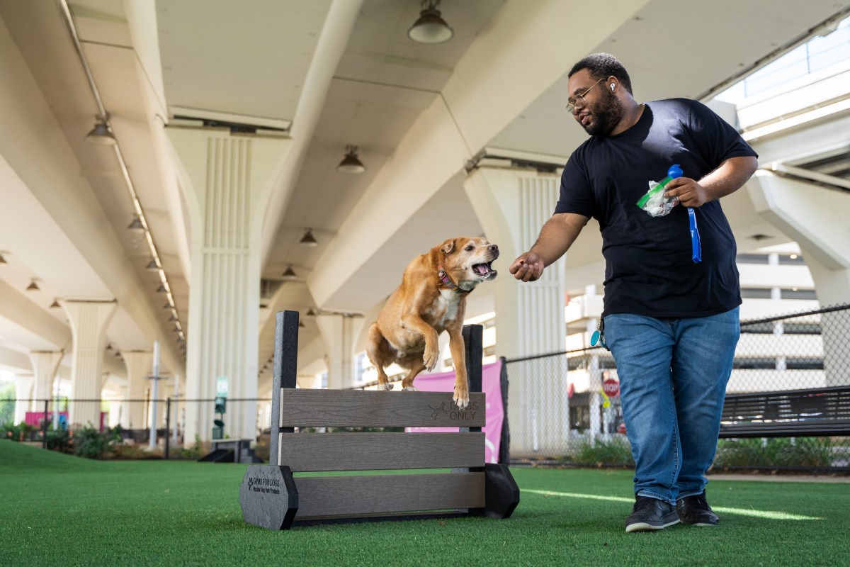 4 ways to enjoy winter fun at City Walk 3 The Barkery, City Walk Bham