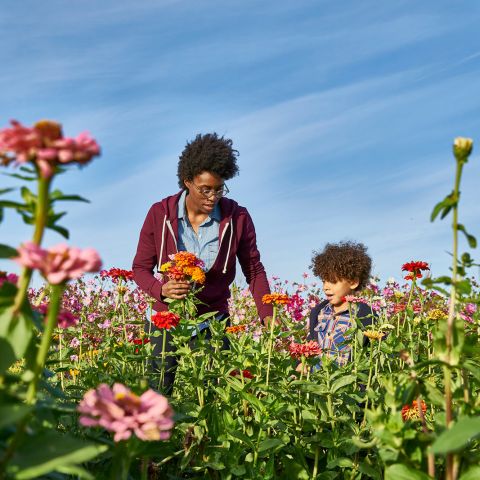 mother and child walking through a field of wildflowers
