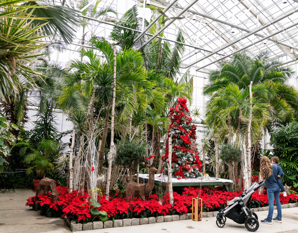 All Aboard…for the Holidays