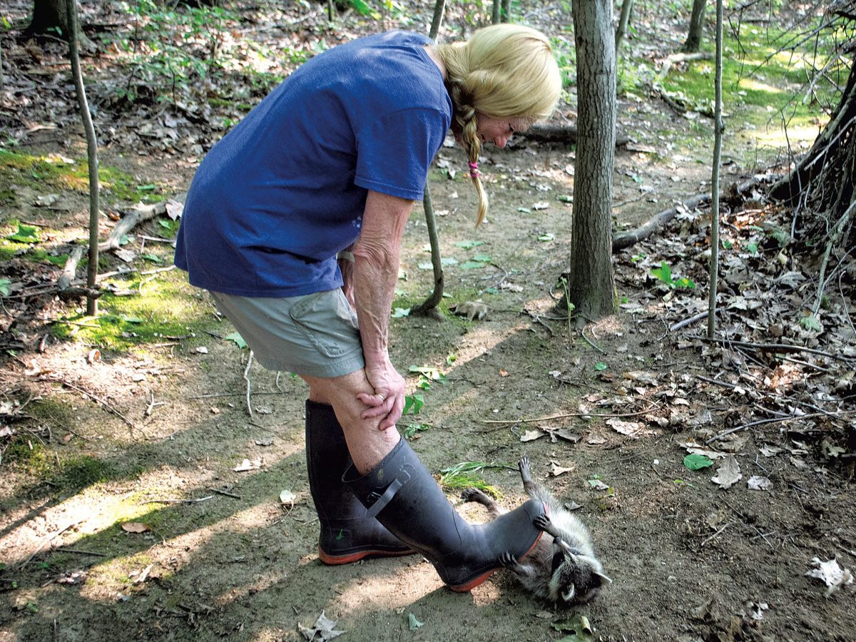 Backstory: A Reporter Spends a Surreal Overnight by the Vermont Border