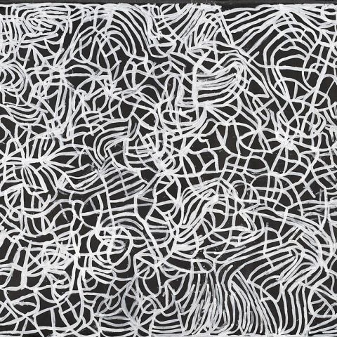 The Stars We Do Not See