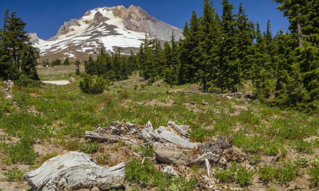 What to Do on Mount Hood