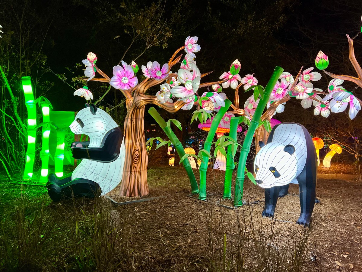 40 things to do in Birmingham this December—parades, concerts + more 4 Glow Wild