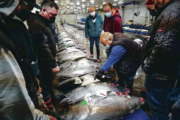 Demand for New Year’s staple ahi peaks in Hawaii