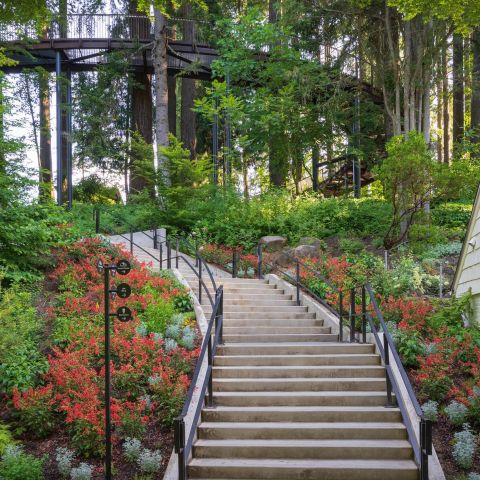 stairs up a hillside covered in bright blooms of flowers and fresh spring growth on trees