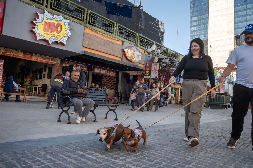 Tijuana’s most famous street is now partly closed to vehicles, creating a pedestrian plaza – The Virginian-Pilot
