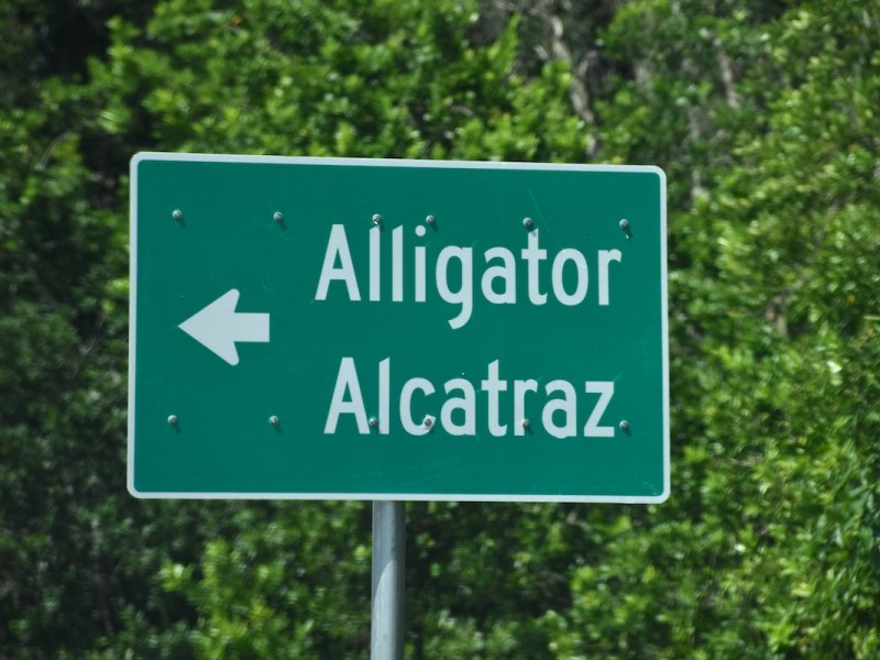 Judge denies Democrats’ lawsuit over ‘Alligator Alcatraz’ access