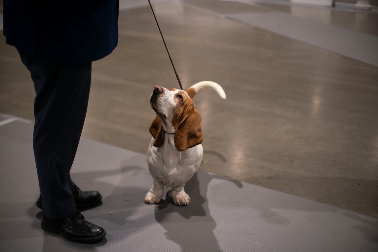 Rose City Classic Dog Show