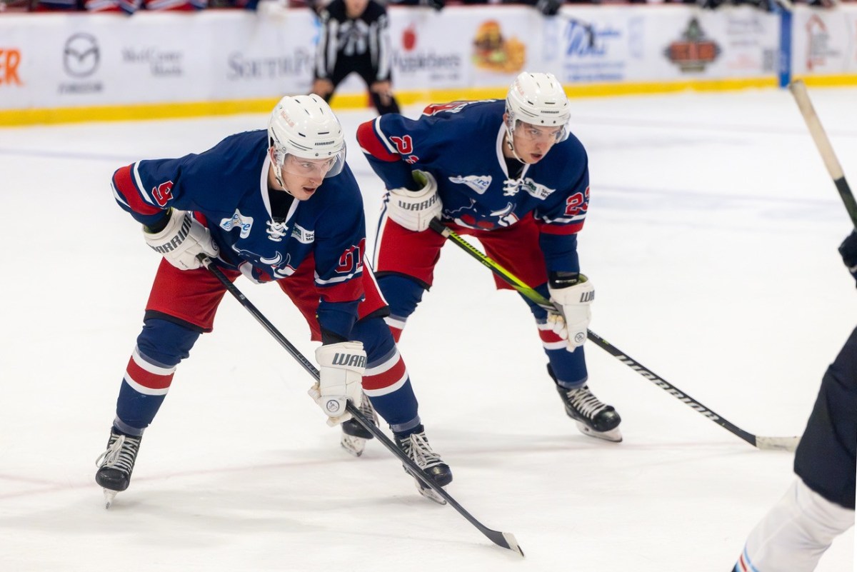 9 ways to celebrate MLK Day 2026 in Birmingham 3 Birmingham Bulls