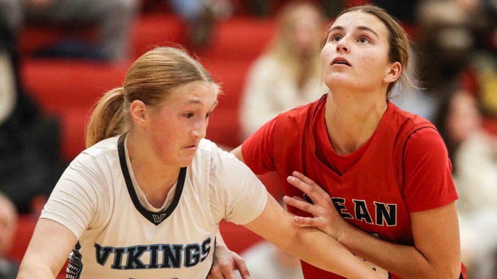 Top daily girls basketball stat leaders for Wednesday, Jan. 14