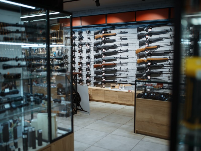 Florida House again passes bill to allow teens to buy guns