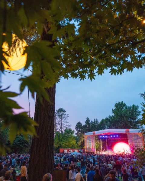 a crowd of concertgoers watches a lit up stage among large, leafy trees
