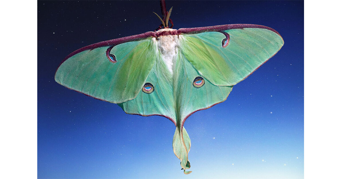 6 ways to enjoy a unique winter date night in Birmingham 2 VLM for ASC 1190x626 1 6 ways to enjoy a unique winter date night in Birmingham