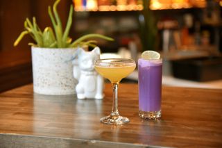 two cocktails sitting on a bar with a plant and ceramic cat in the background