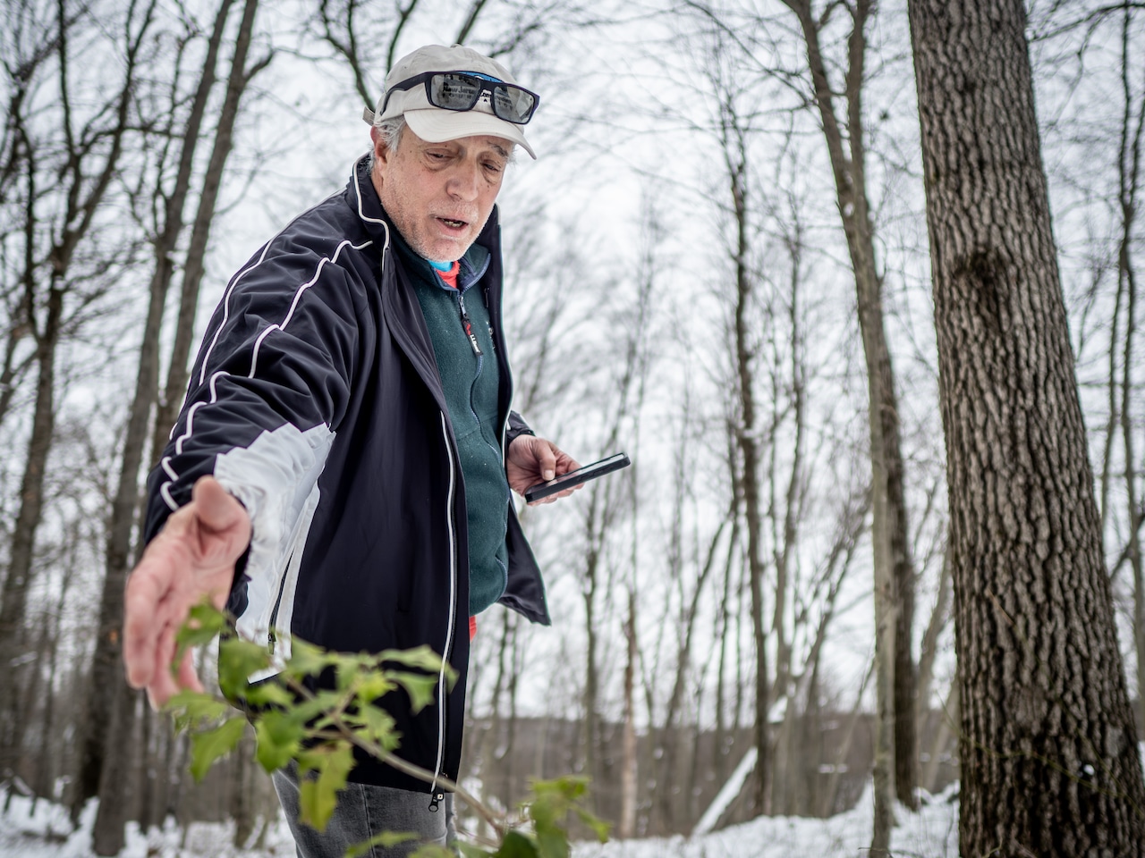 Parkgoers and residents fought against a communications tower they worried would forever scar this reservation