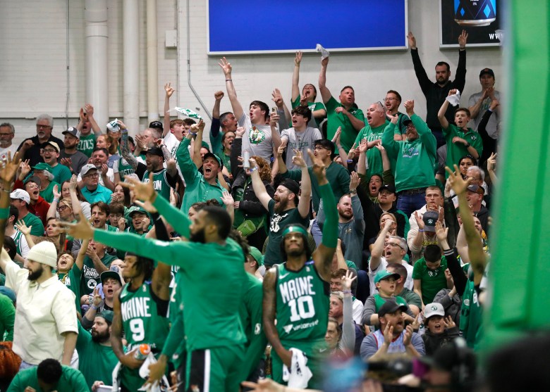 Amari Williams leads Maine Celtics to win