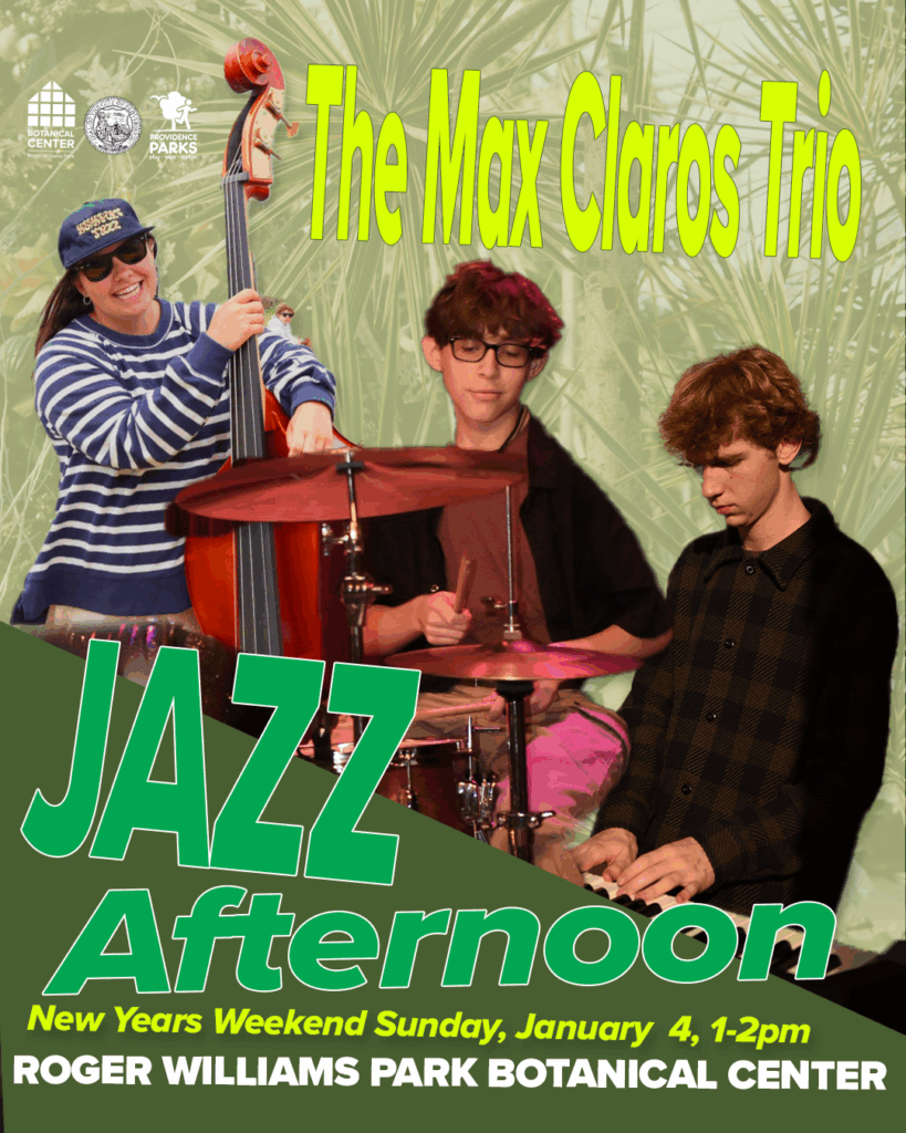 New Years Weekend: Jazz Afternoon with The Max Claros Jazz Trio