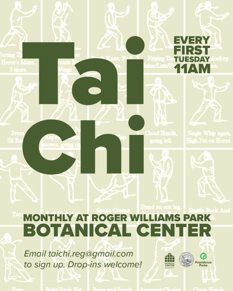 Sun Style Tai Chi for Beginners