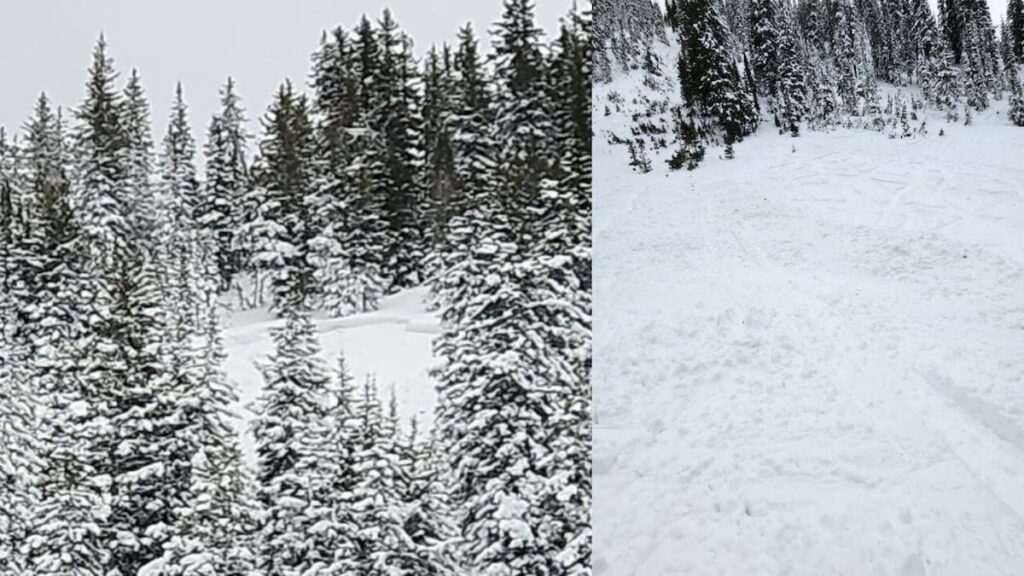 Utah avalanche investigators want to hear from skiers who were caught in slide but got out