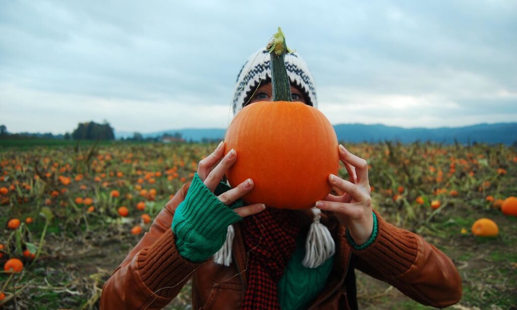 Pumpkin Patches in and Near Portland