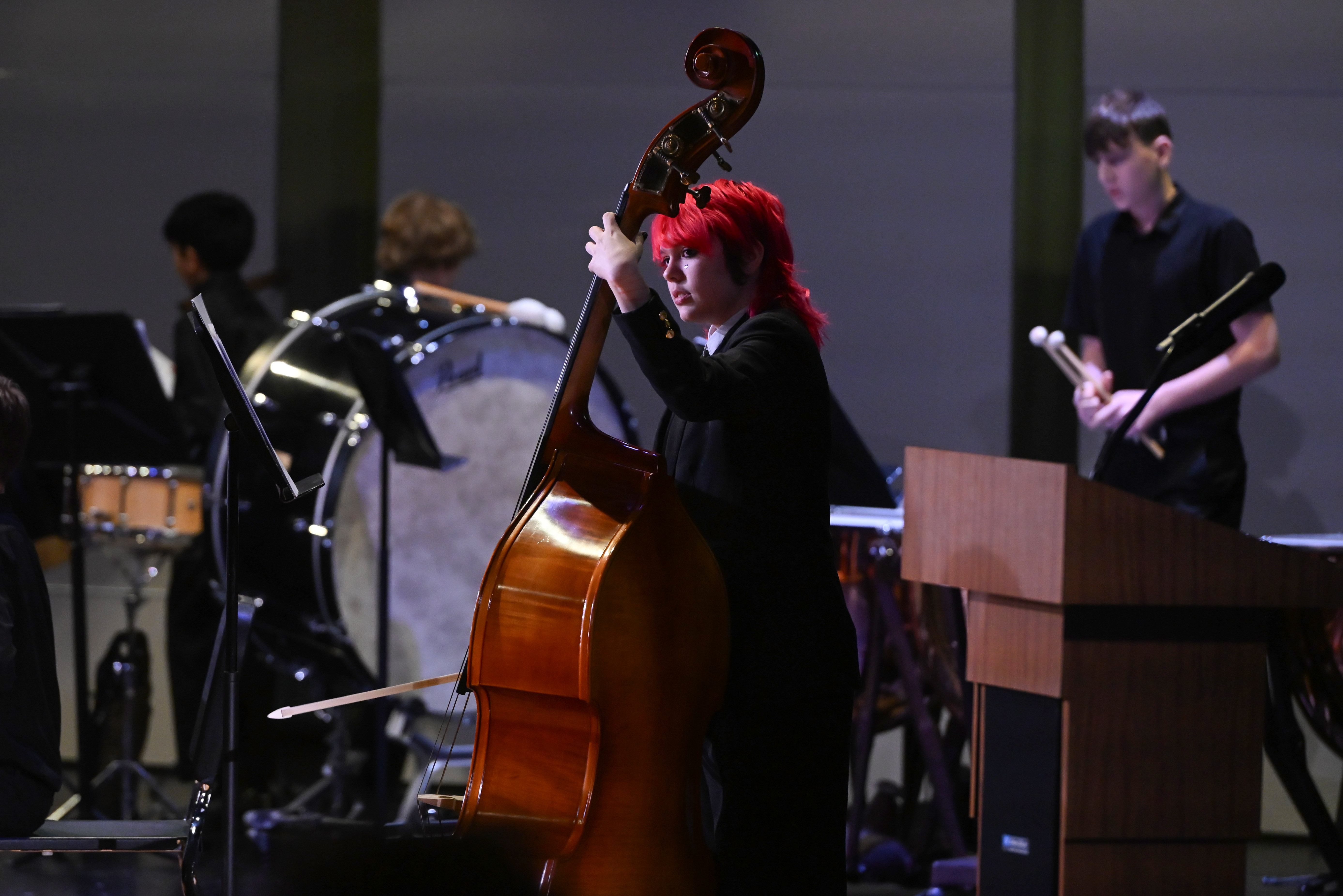 Autumn Pacheco of West Middle plays the upright bass with fellow students musicians from the eight middle schools in Carroll County Public Schools during the All County Middle School Band concert at Manchester Valley High School on Saturday. (Brian Krista/Staff)