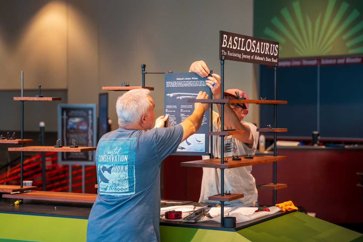 McWane Science Center, Basilosaurus exhibit