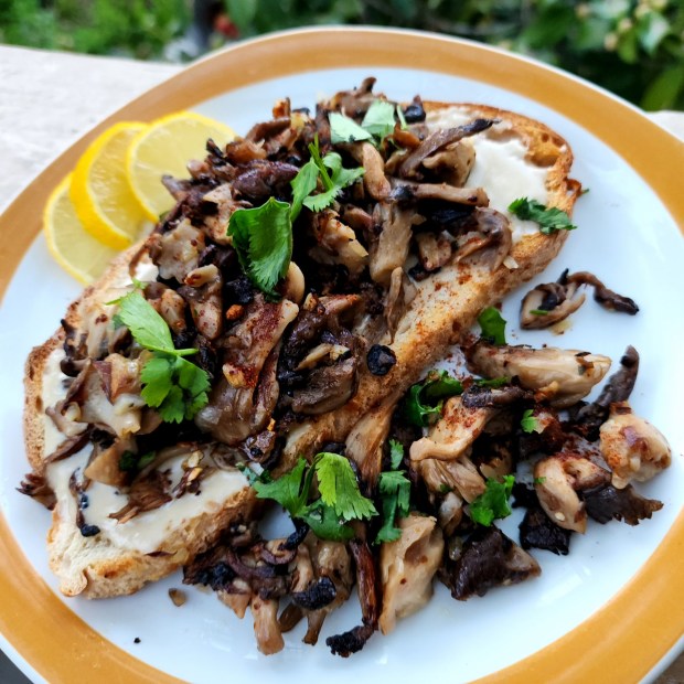 This Mushroom Tahini Toast is inspired by a recipe in Dr. Michael Crupain's latest book, "The Power Five: Essential Foods for Optimum Health." (Photo by Yakir Levy)