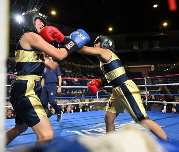 Midshipman Stephanie Galindo-Hernandez, in the gold trunks, defeats midshipman Katilyn Williams, in the blue trunks to win the women's 119 pound match. The Naval Academy hosts the 85th Brigade Boxing Championships Friday evening at Alumni Hall in Annapolis. (Paul W. Gillespie/Staff)