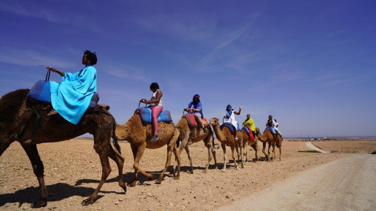 Whether it's a mini-sabbatical or an adult gap year, more people are taking extended work breaks