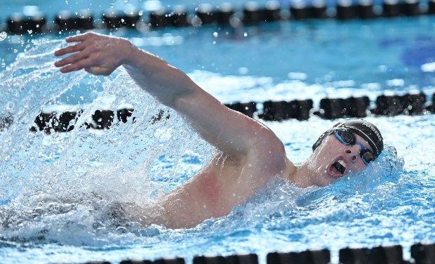 Marmion's Brayden Capen competes in the 500-yard freestyle of the boys swimming state meet in Westmont on Saturday, Feb. 28, 2026. (Brian O'Mahoney / The Beacon-News)