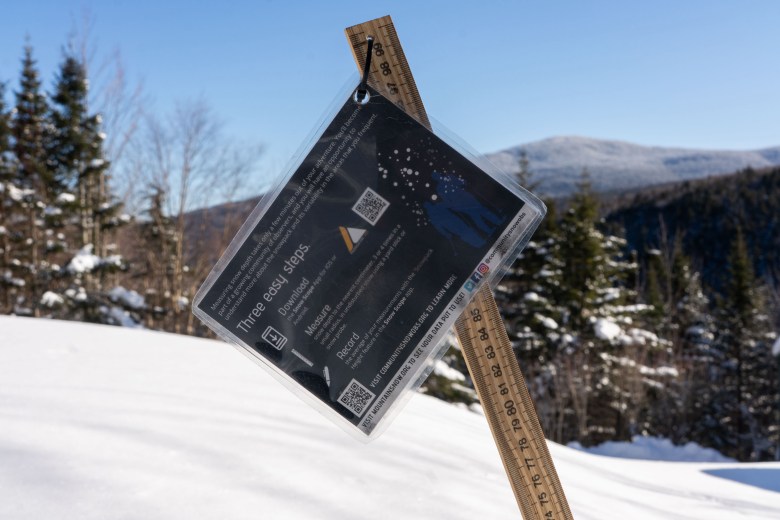 Why some snow squeaks and some snow packs like cement