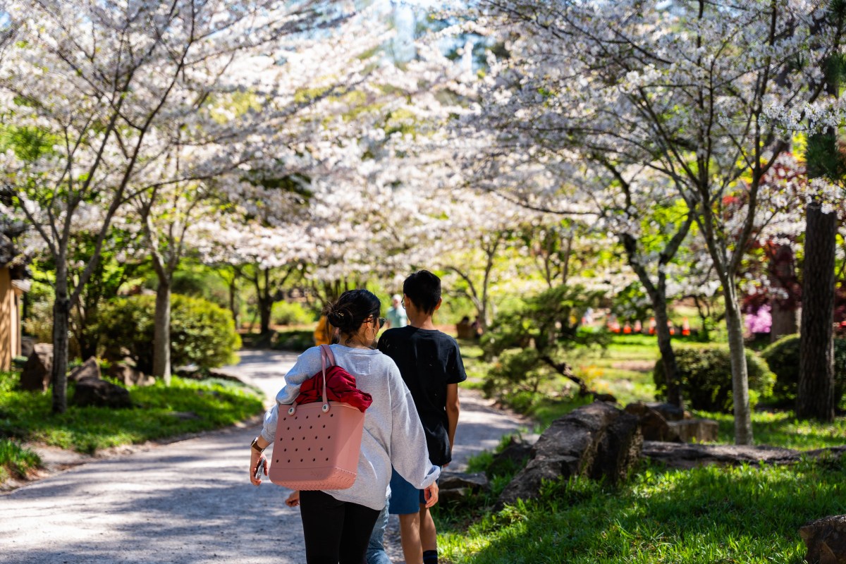 Birmingham Botanical Gardens