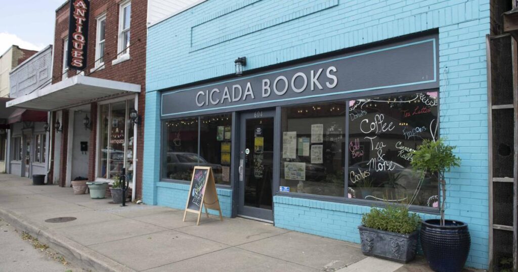 'Don't come alone': Cicada Books hosts release party for book about Appalachian cryptids