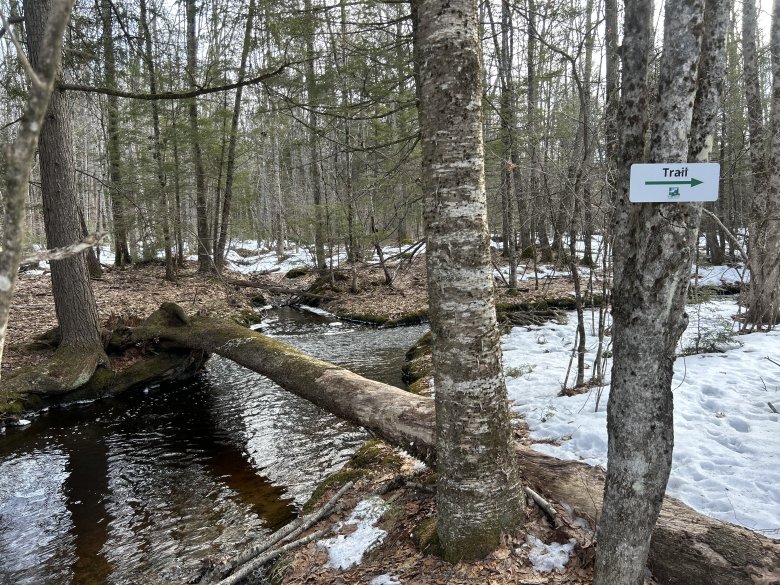 4 best hiking trails in Scarborough, according to readers