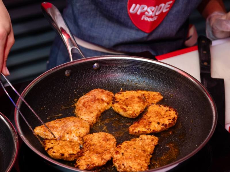 ‘Another loss for Frankenmeat’: Florida ban on lab-grown meat upheld