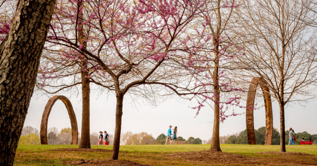 36 Hours in Raleigh, N.C.: Things to Do and See